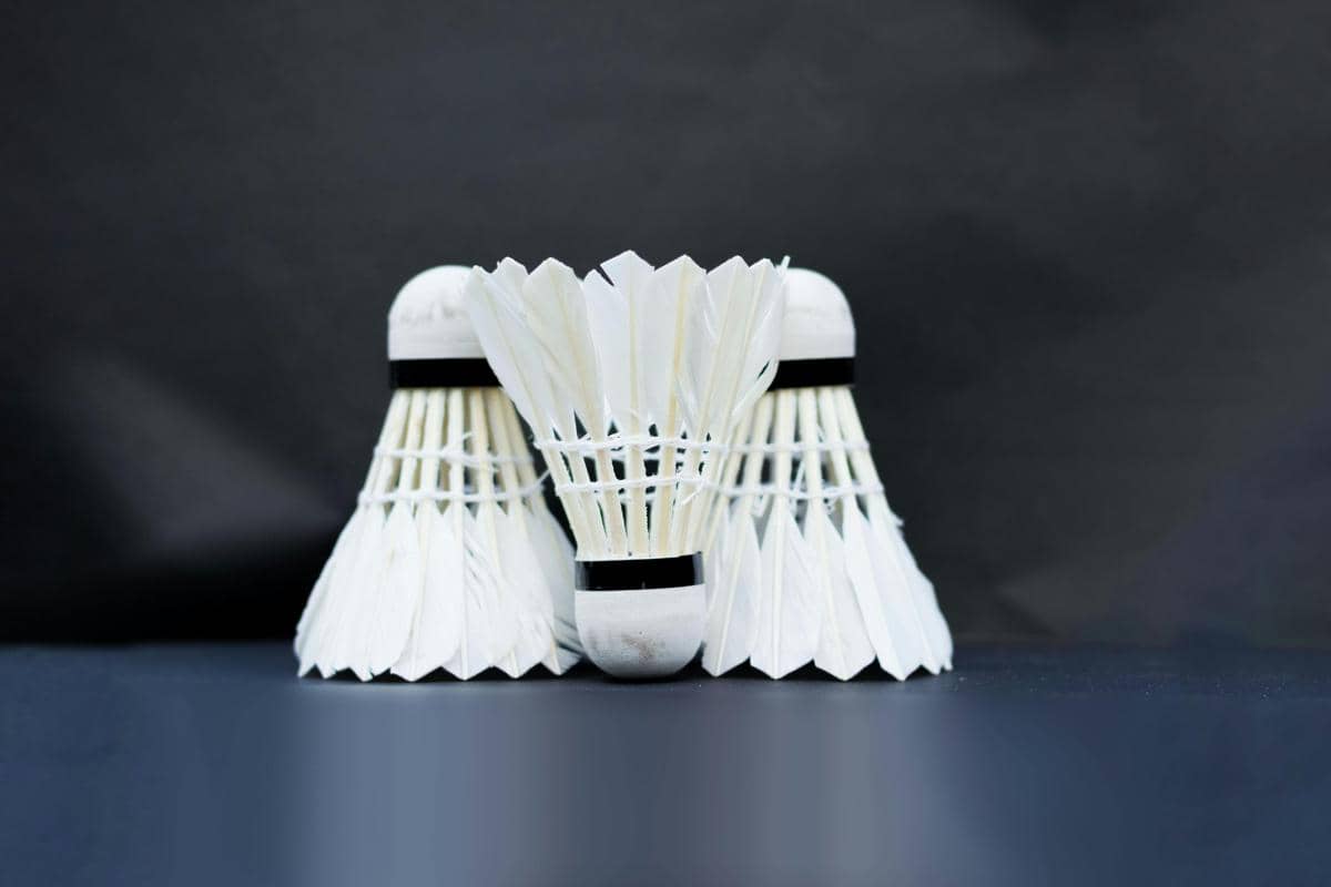 ilustrasi bulu tangkis