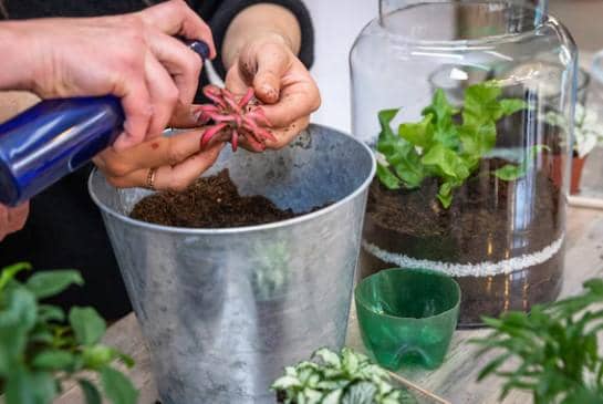 ilustrasi pot kurang drainase