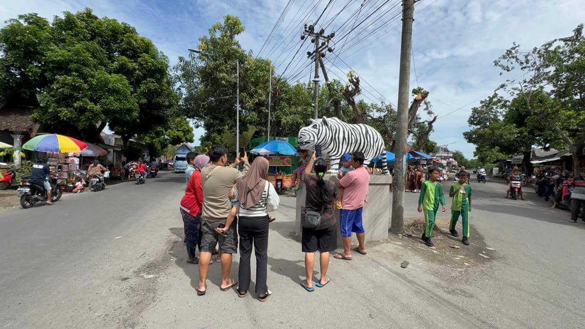 WhatsApp Image 2026-01-03 at 15.57.43.jpeg