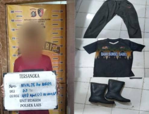 Pelaku pembunuhan di kebun durian Kecamatan Lais Muba saat menyerahkan diri.