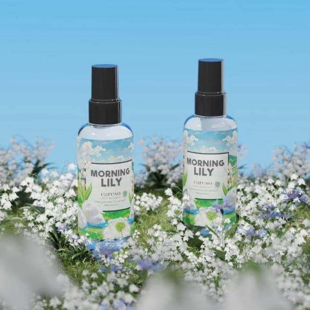 Careso Morning Lilly