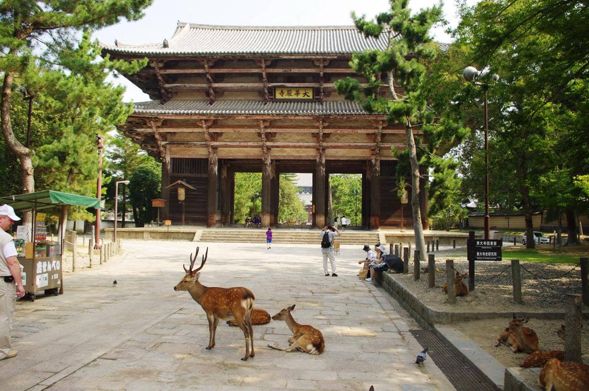 Nandaimon di Todai-ji, Nara, Jepang
