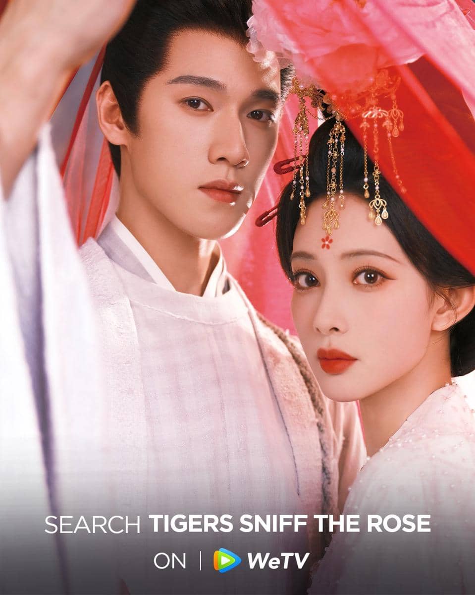 still cut drama China Tigers Sniff the Rose