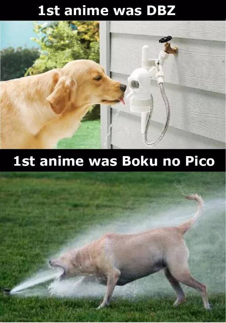 meme anime tentang wibu