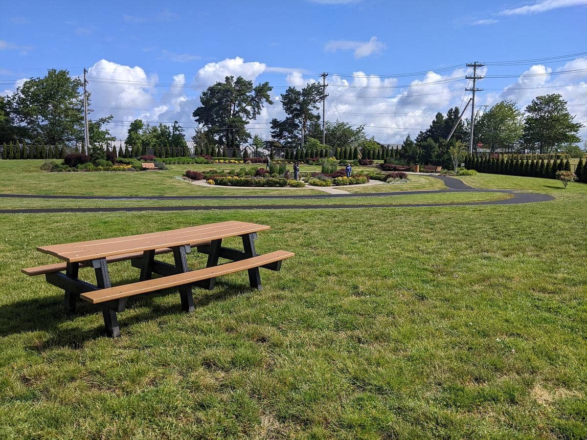 ilustrasi warren field