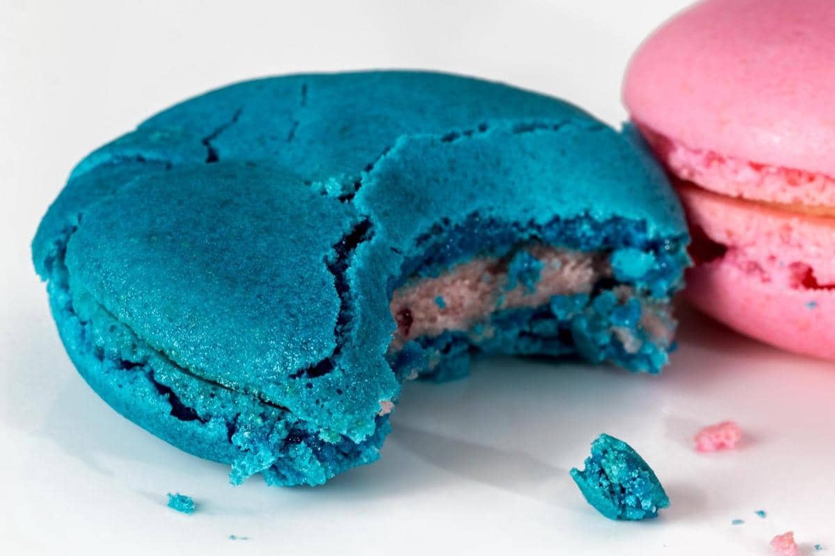 ilustrasi cookie monster cookies