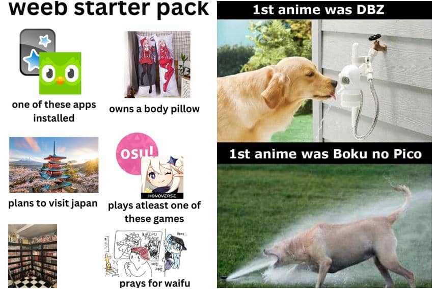 kolase meme anime tentang wibu