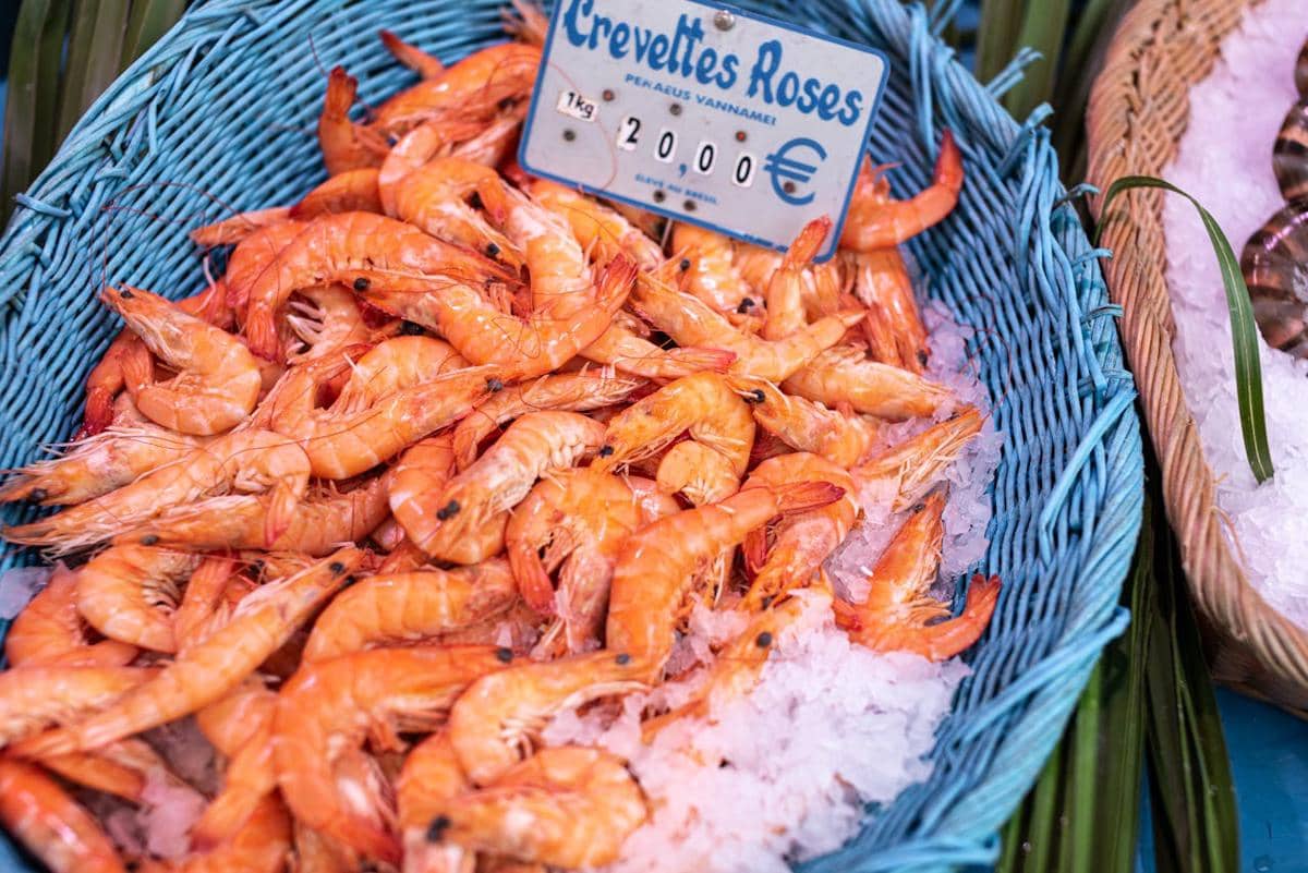 ilustrasi udang segar 