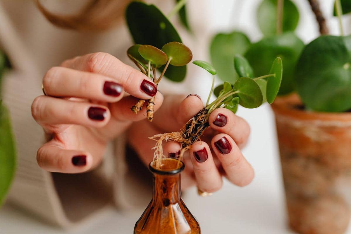 Inspirasi warna kuku