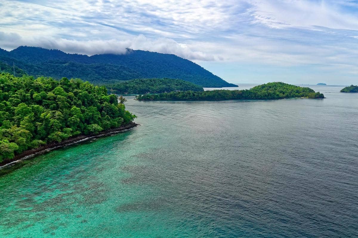 5 Komoditas Kekayaan Alam Aceh yang Diekspor ke Luar Negeri