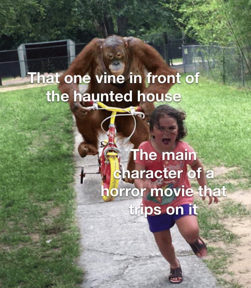 meme karakter utama dalam film