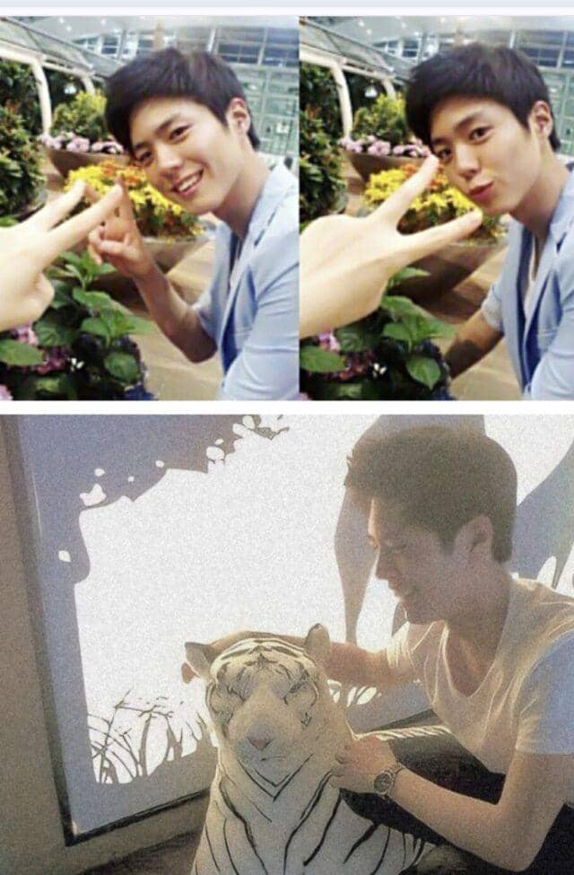 potret predebut Park Bo Gum saat pacaran viral