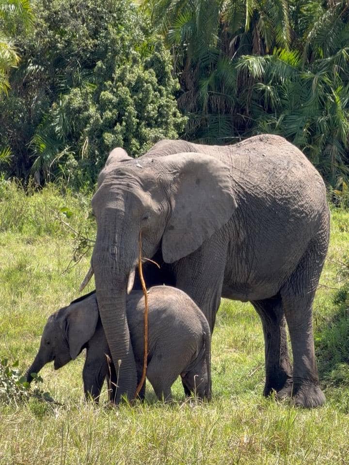 unggahan Shanaya Kapoor