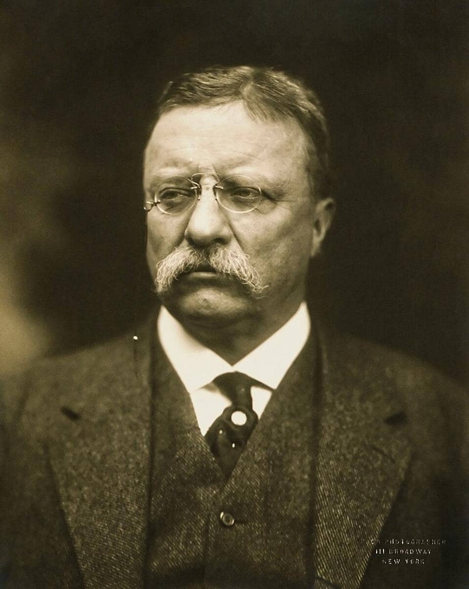 Theodore Roosevelt, mantan presiden AS (1915) (Pach Brothers (photography studio), Public domain, via Wikimedia Commons)