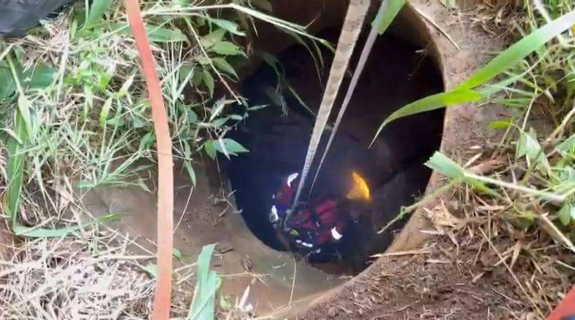 Damkar Kota Bekasi Evakuasi Kambing yang masuk ke dalam sumur