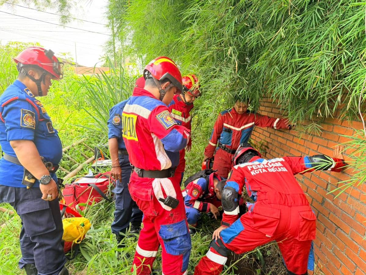 Damkar Kota Bekasi evakuasi kambing yang masuk ke dalam sumur