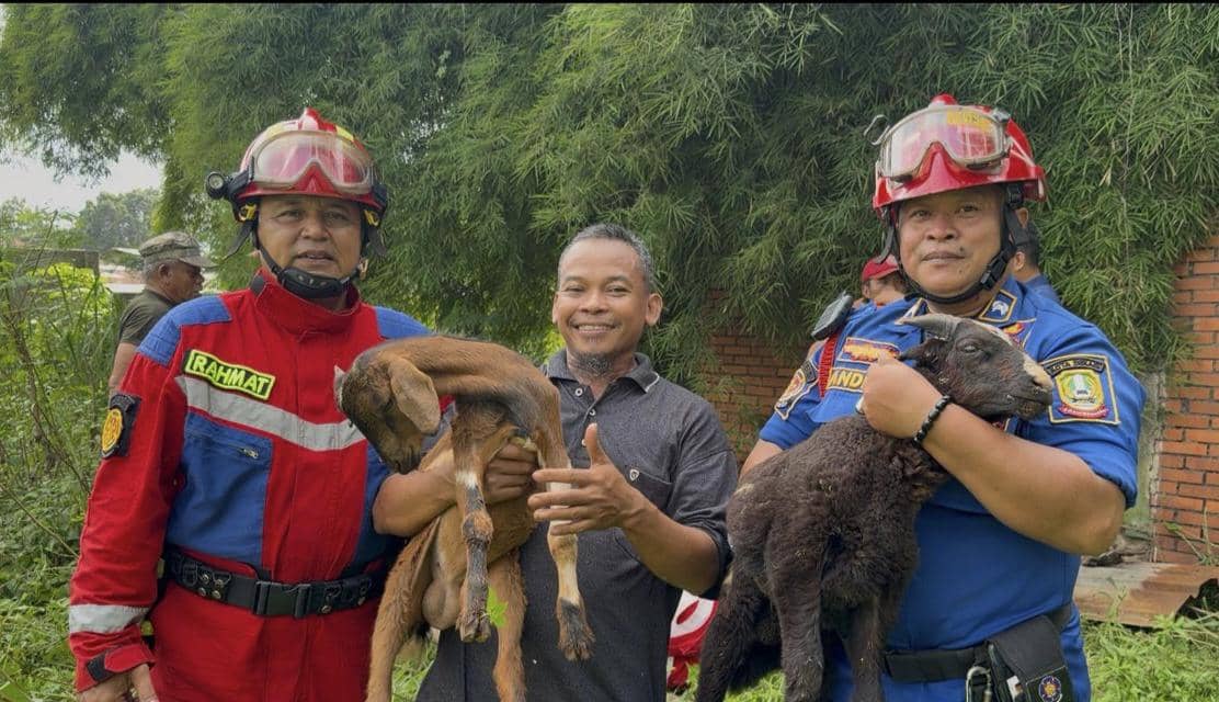 Damkar Kota Bekasi evakuasi kambing yang masuk ke dalam sumur