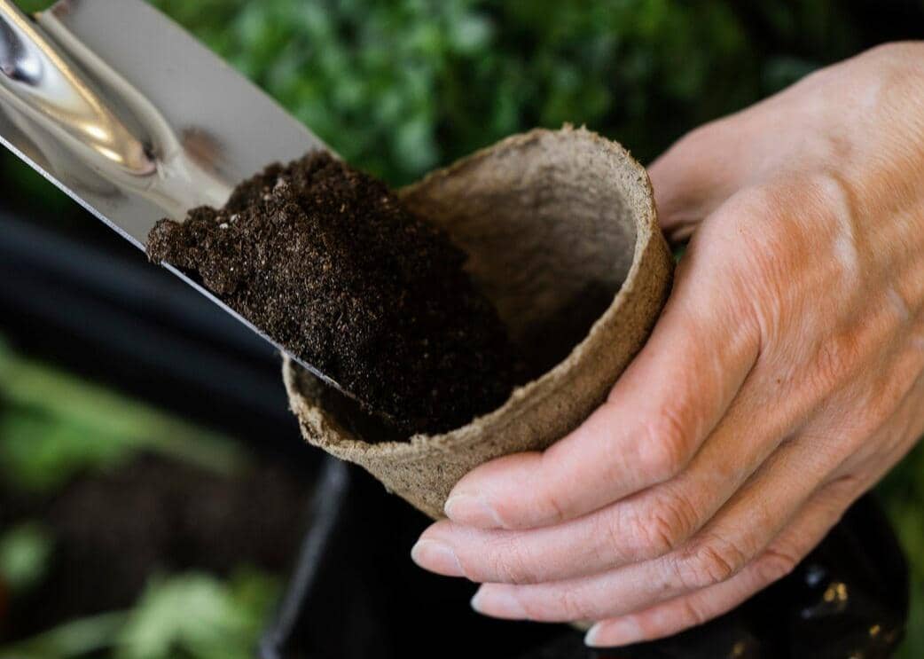 ilustrasi memberi pupuk (freepik.com/freepik)