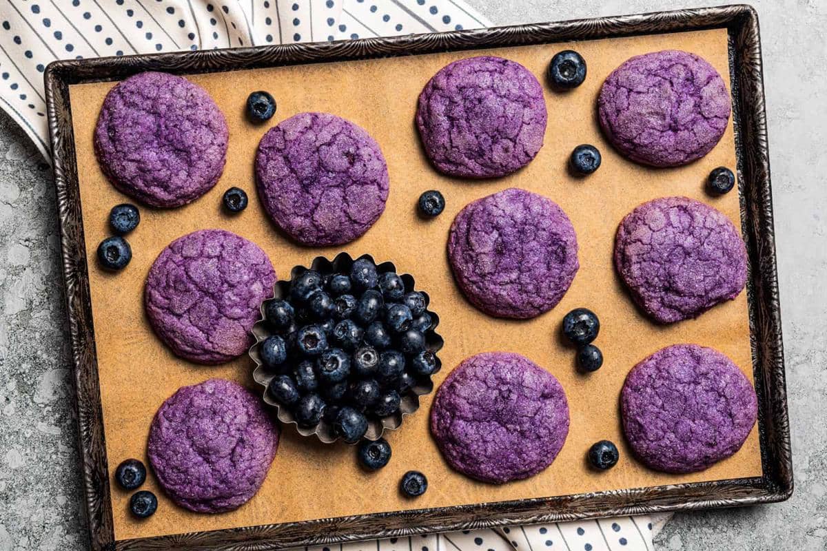 ilustrasi blueberry cookies