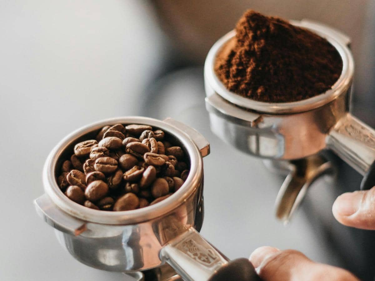 ilustrasi biji kopi dan kopi bubuk