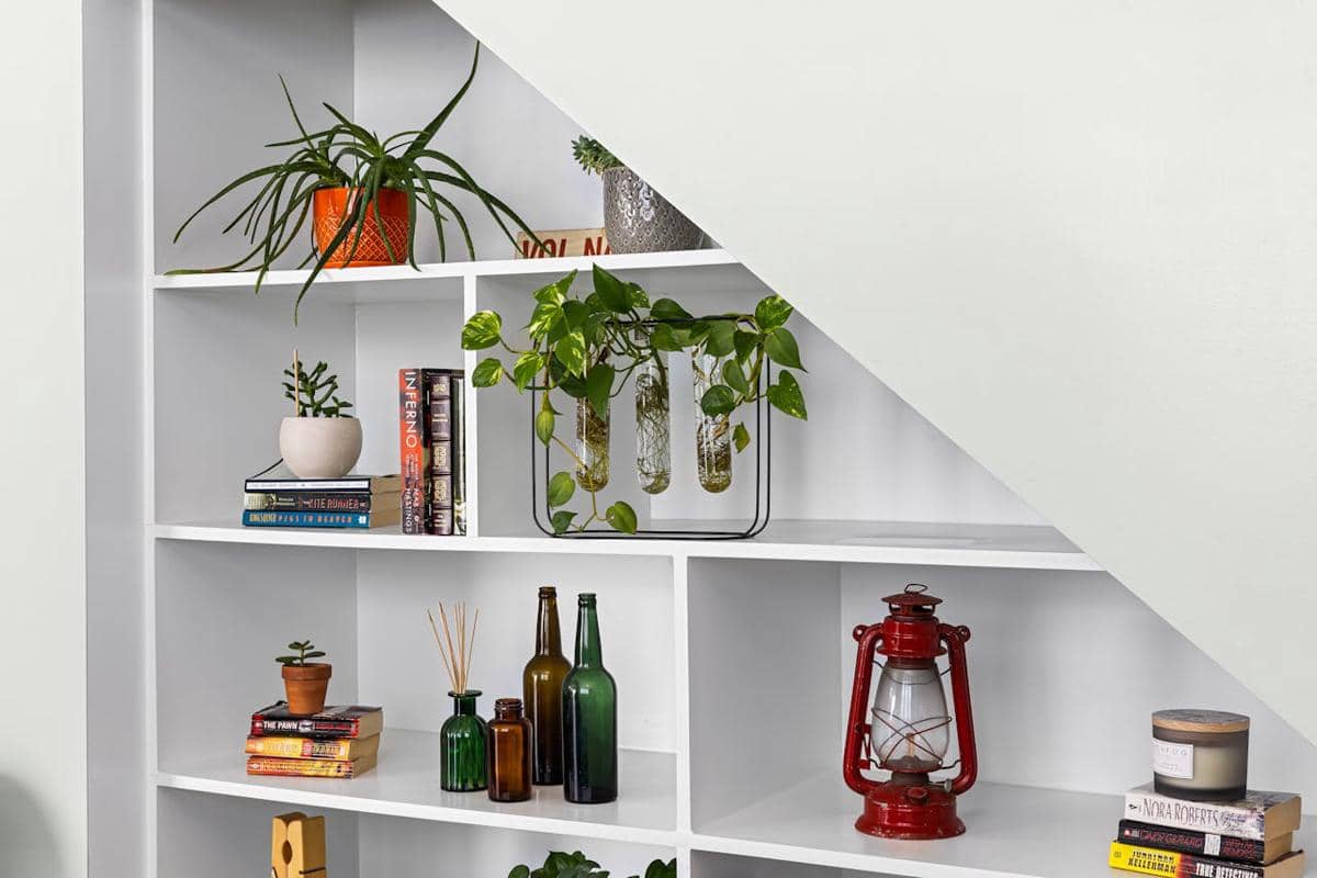 Ilustrasi tanaman pothos