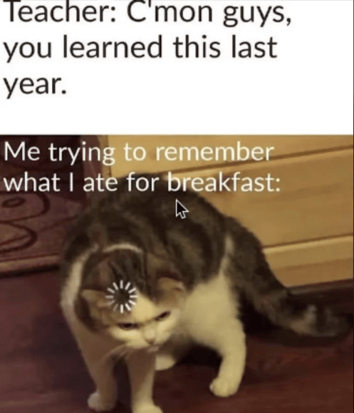 meme kucing tentang sekolah