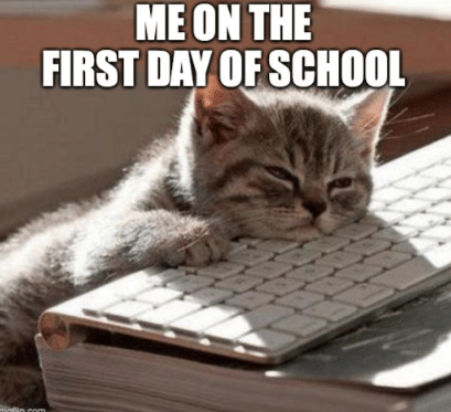 meme kucing tentang sekolah