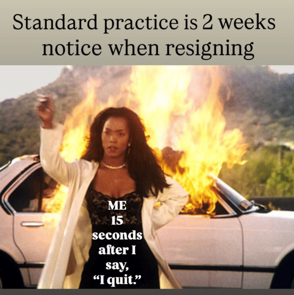 meme buru-buru resign