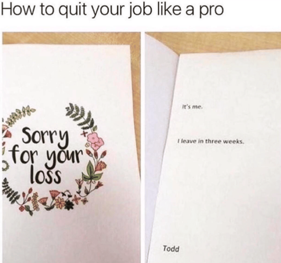 meme buru-buru resign