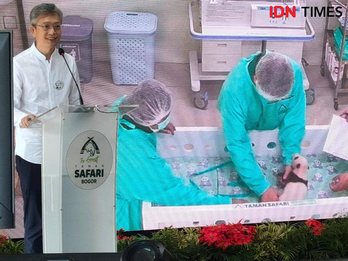 Ambassador dari Tiongkok saat sambutan diiringi video perawatan bayi Panda pertama yang lahir di Indonesia