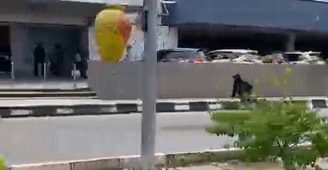 Bentrokan dua kelompok di depan PS Mall Palembang (Dok: Tangkapan layar)