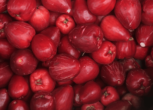 Jambu Bol (commons.wikimedia.org/Gsgoes)