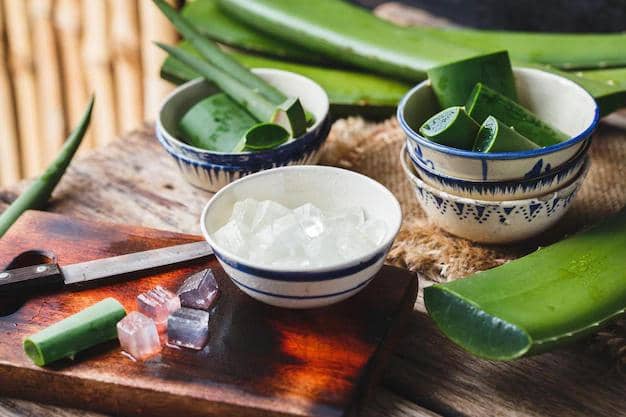 ilustrasi lidah buaya