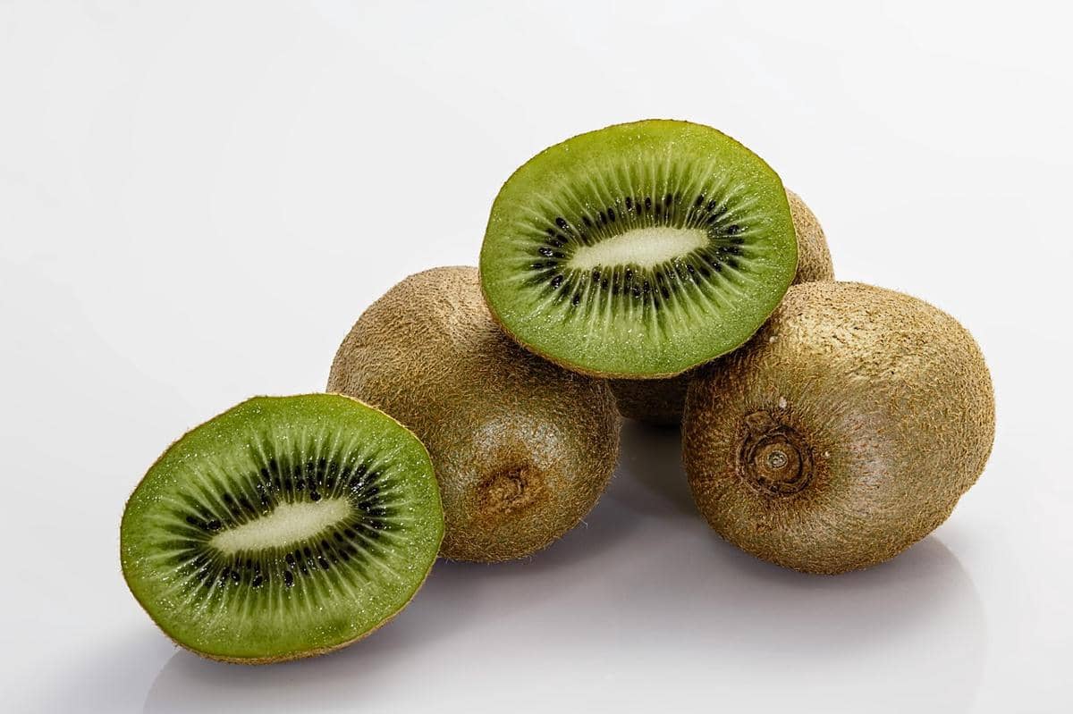 ilustrasi buah kiwi 