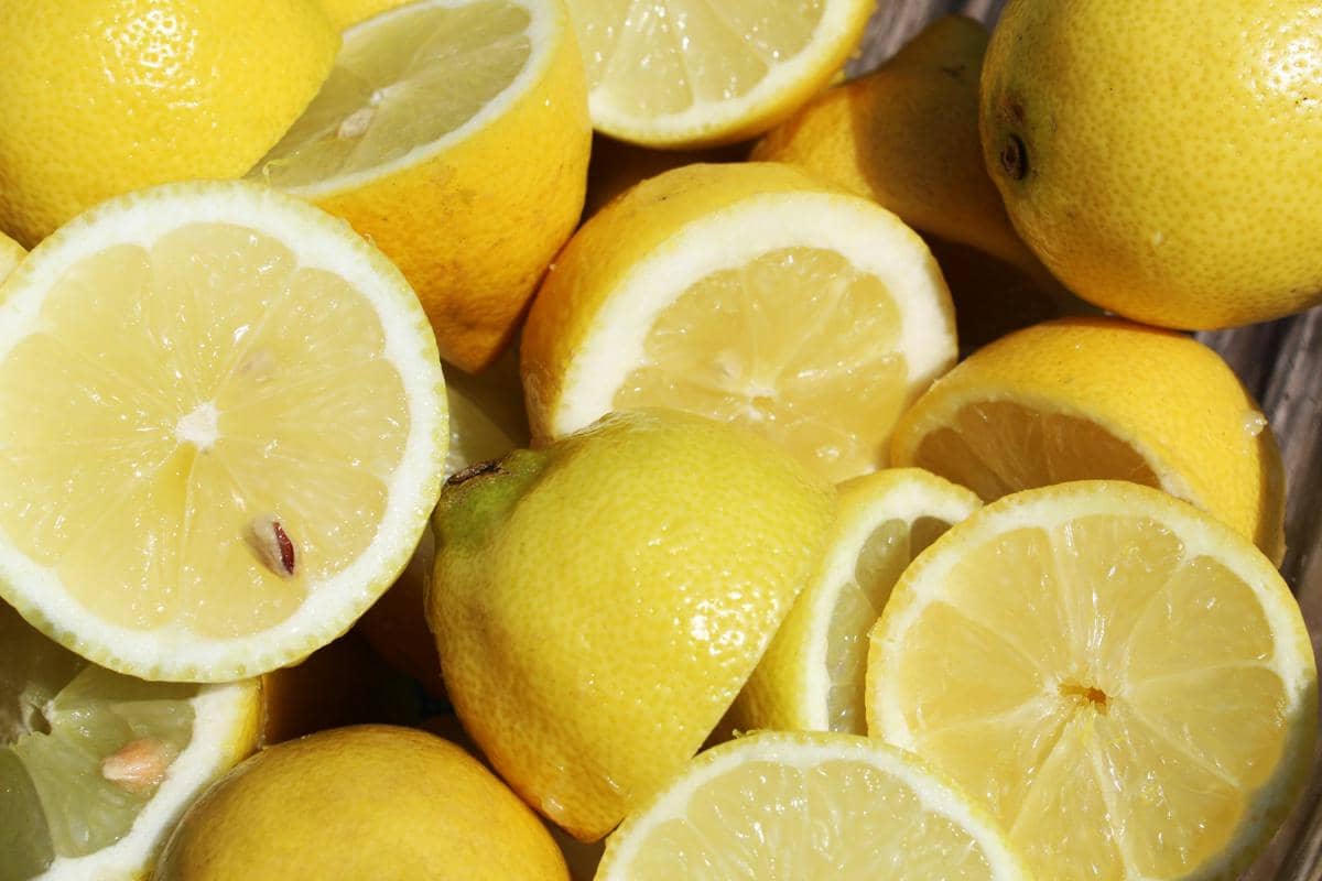 ilustrasi lemon