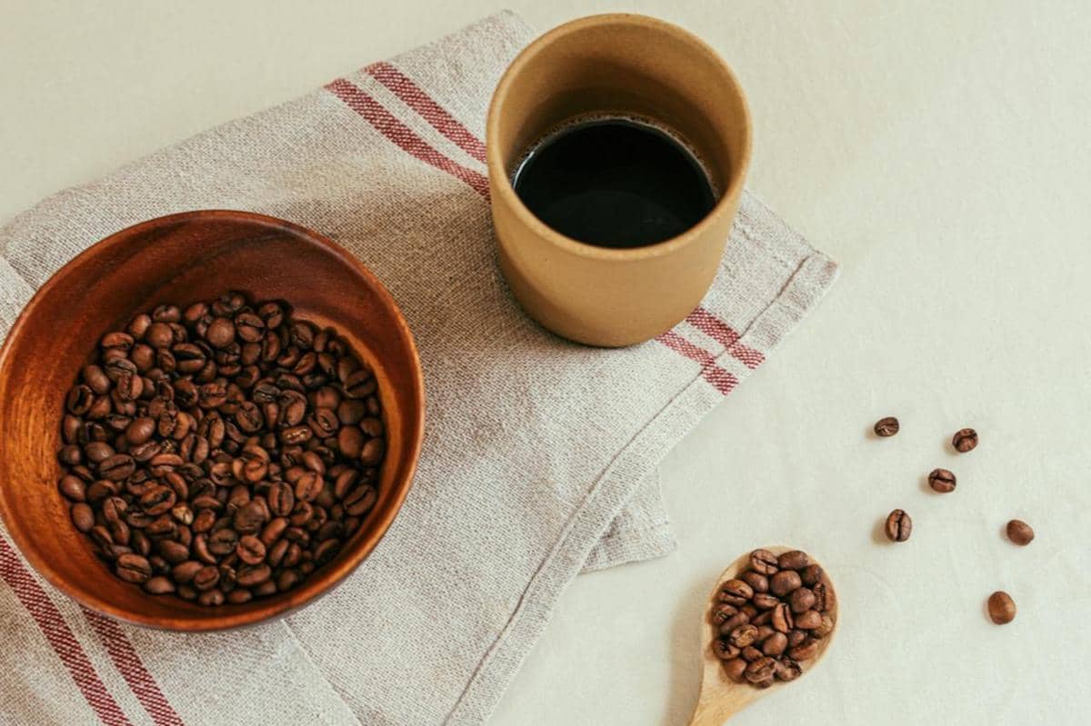 ilustrasi biji kopi Arabika 