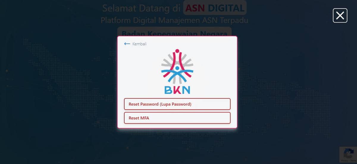 PNS Wajib Pakai ASN Digital, Ini Cara Aktivasi dan Reset Akun | IDN Times