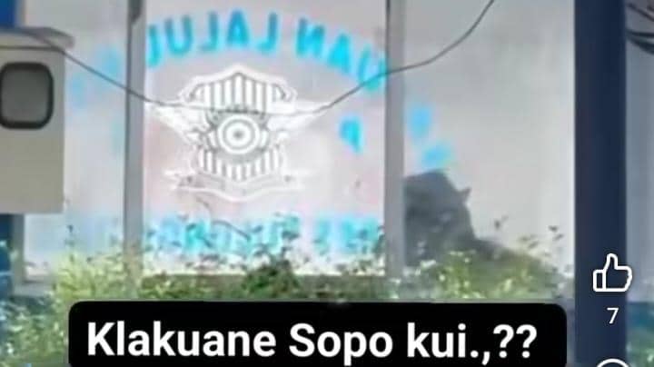 WhatsApp Image 2026-01-06 at 14.55.00.jpeg