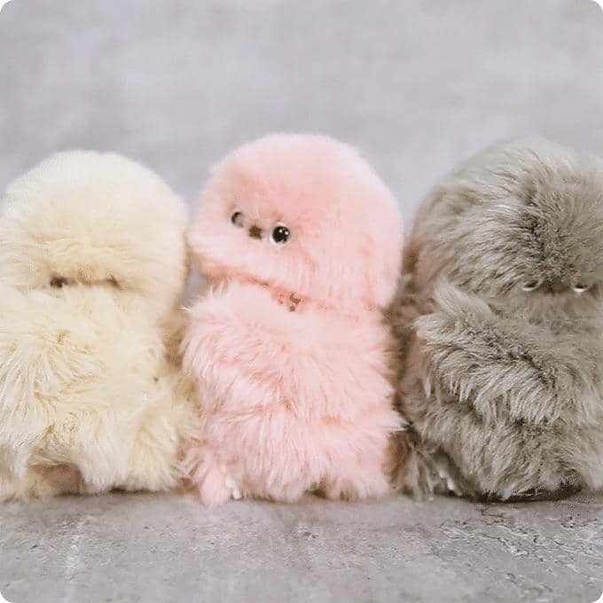 Boneka Mirumi dari Jepang. (www.kickstarter.com)