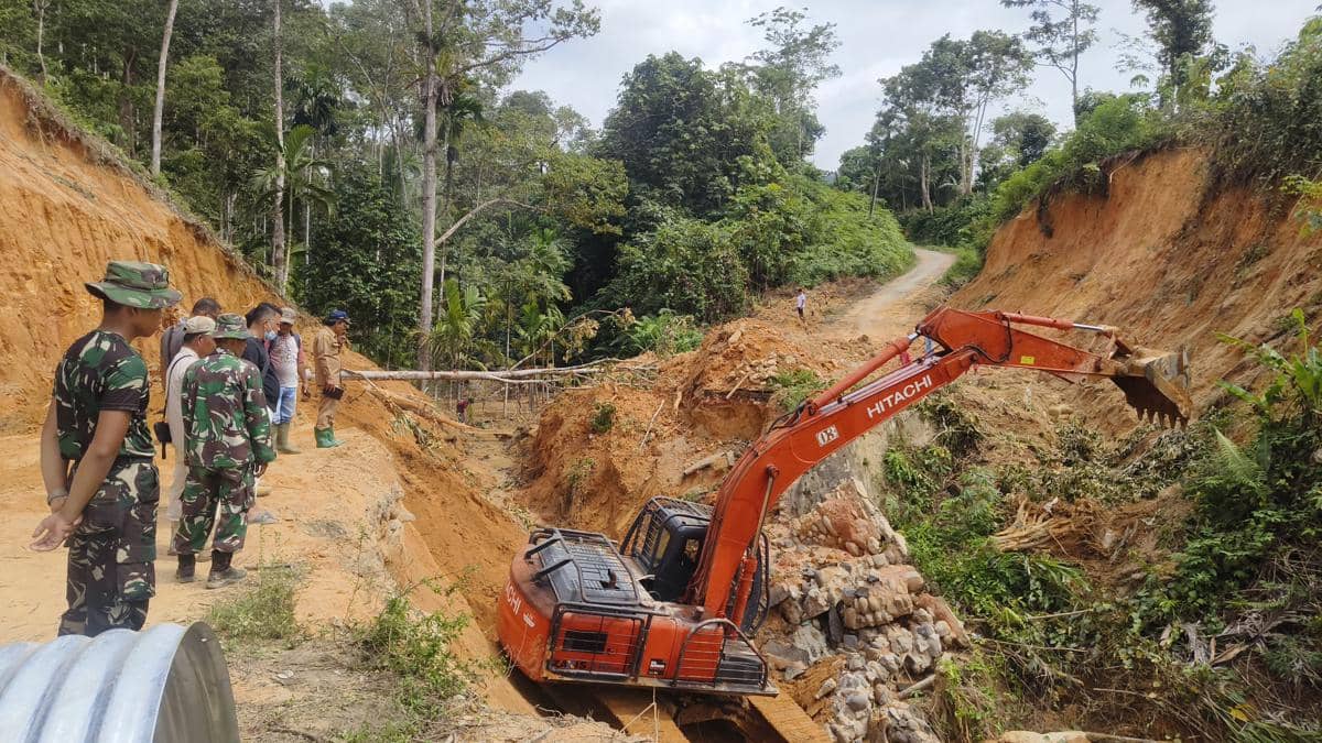 Pembangunan jembatan Bailey di Aek Nabara dikebut (dok.Pendam I/BB)