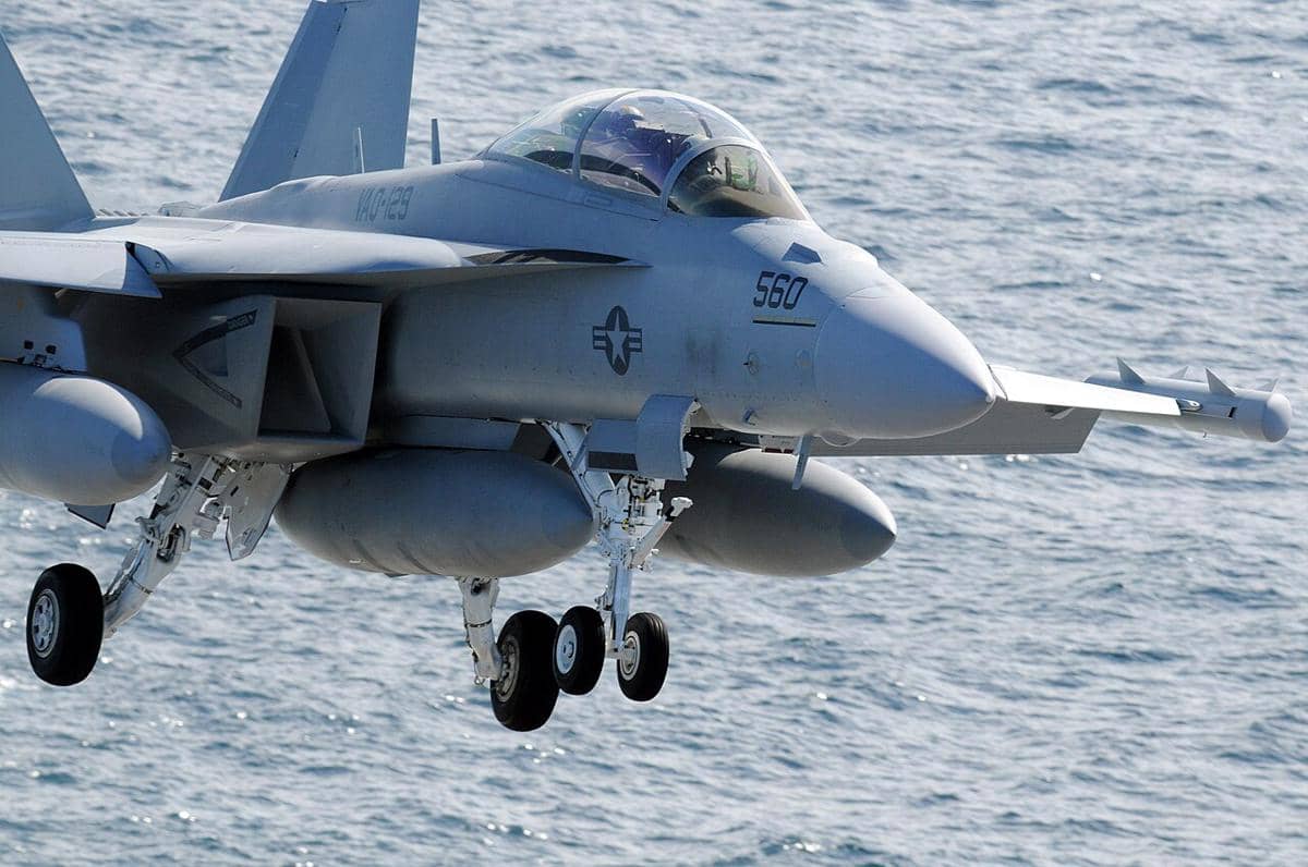 potret jet tempur EA-18G Growler dari skuadron serang elektronik VAQ-129 "Vikings" yang akan mendarat di atas kapal induk tenaga nuklir USS Ronald Reagan (CVN-76)