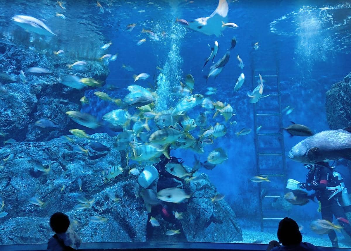 SEA LIFE Bangkok Ocean World