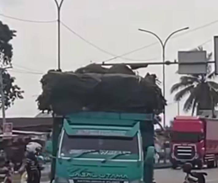 Viral Petugas Dishub Lakukan Pungli di Palembang