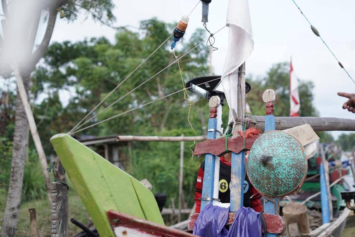 WhatsApp Image 2026-01-08 at 3.33.13 PM.jpeg