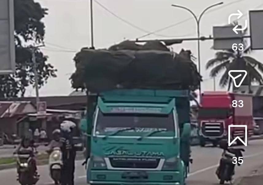 Viral Petugas Dishub Lakukan Pungli di Palembang
