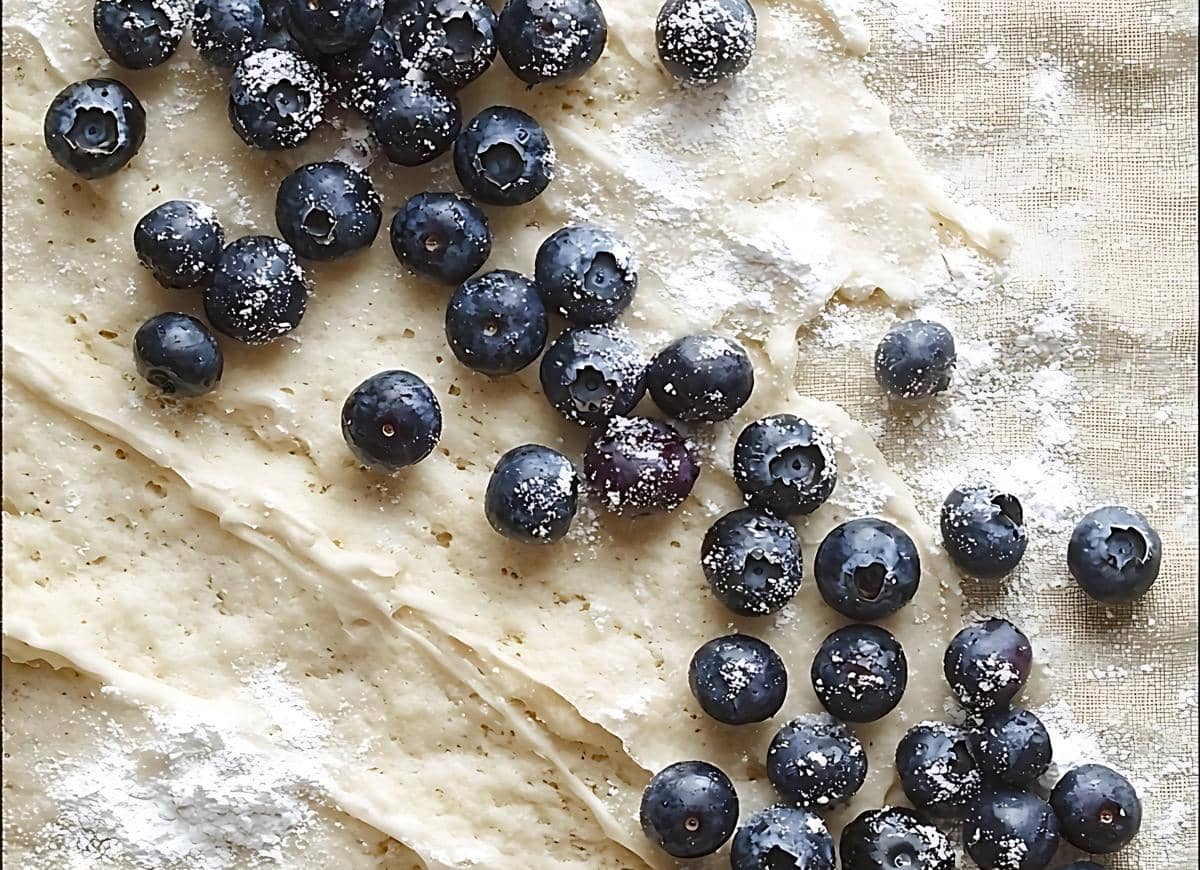 ilustrasi blueberries