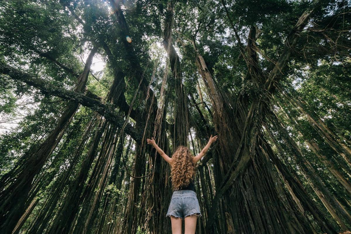 ilustrasi akar gantung