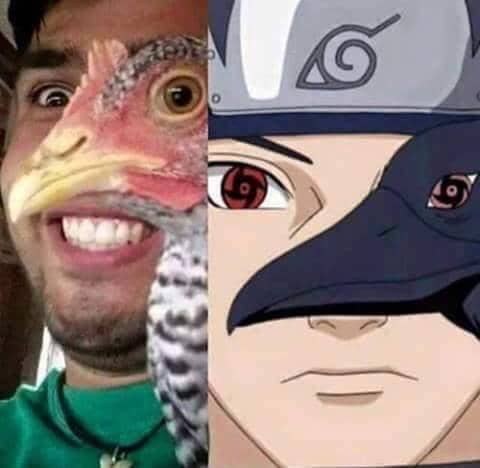 meme anime tentang burung gagak