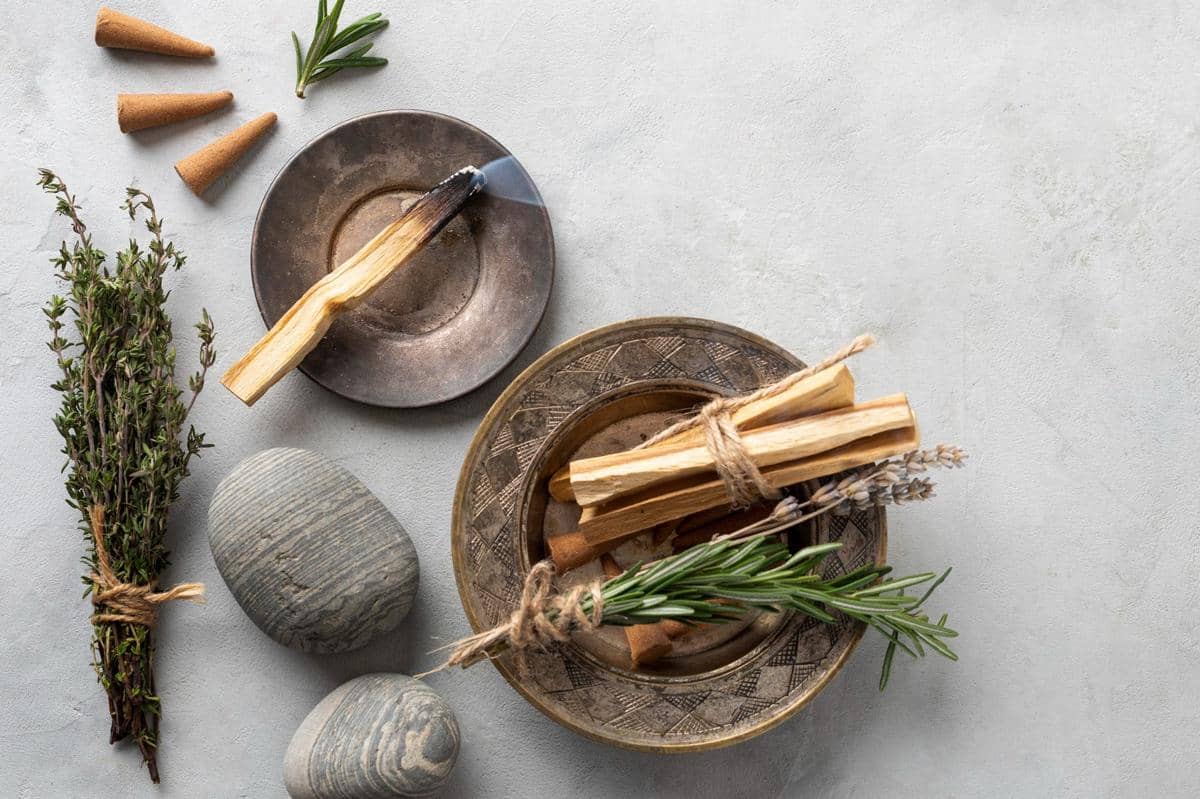 ilustrasi sandalwood