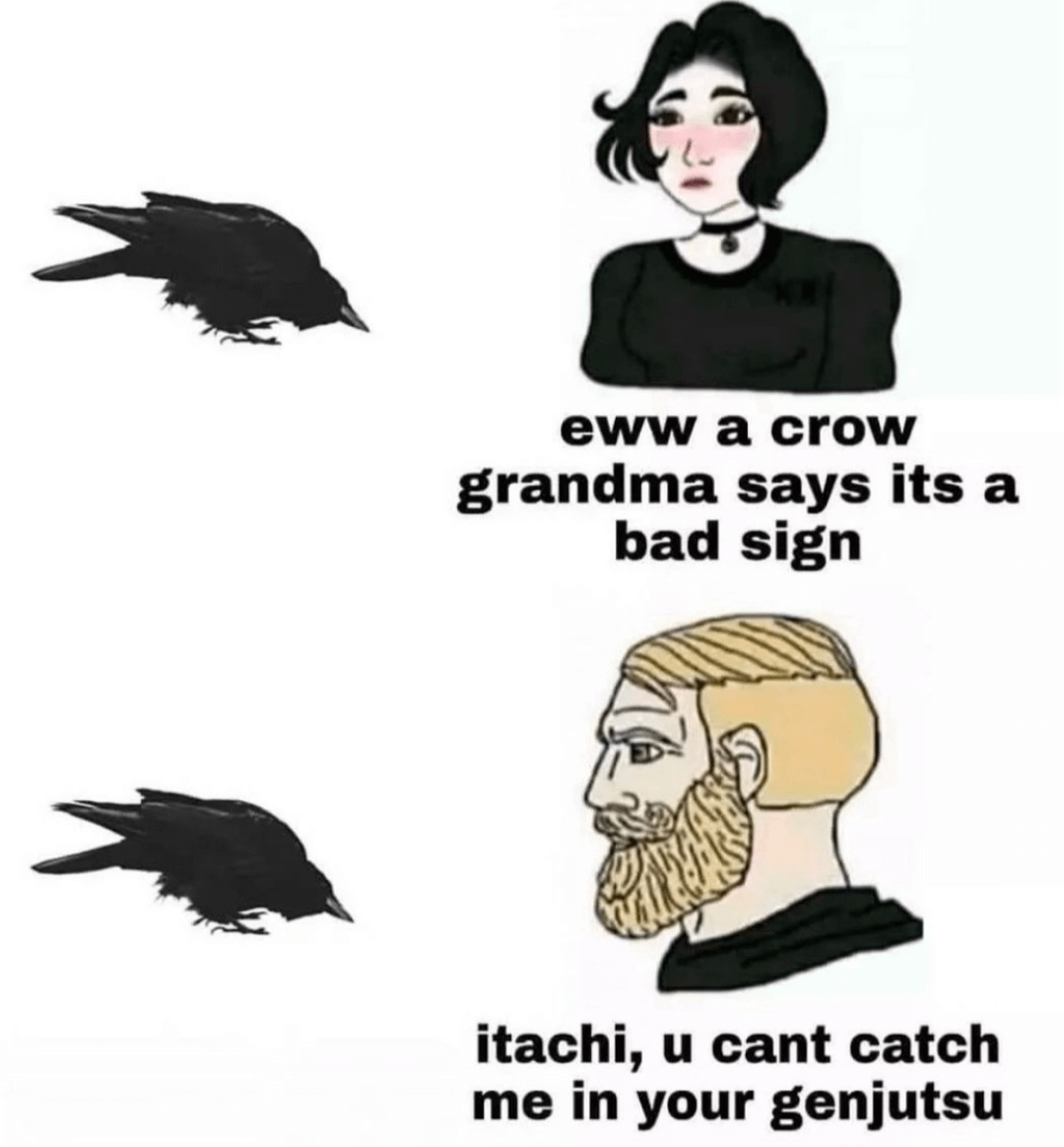 meme anime tentang burung gagak